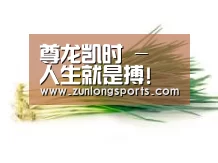 产品名称二