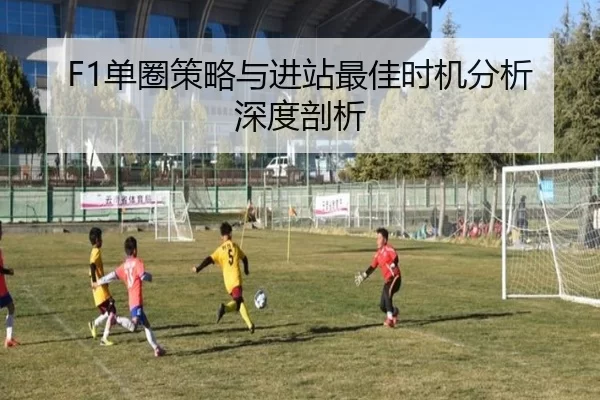 F1单圈策略与进站最佳时机分析深度剖析
